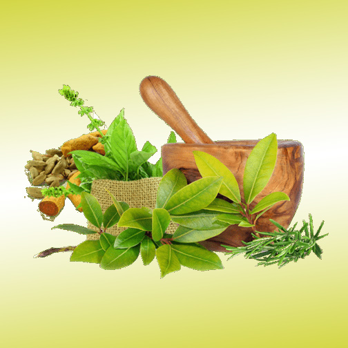 Ayurved Plant Medicines